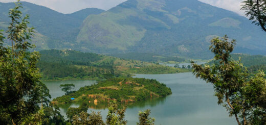 Schöne Landschaften und Teeplantagen