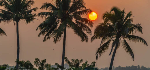 Hausboot in den Backwaters