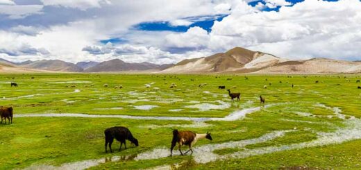 Provinz Antonio Quijarro, Departamento Potosí, Bolivien