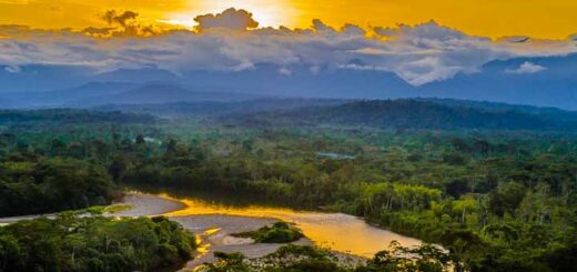 Rio Anzu, Napo - Ecudaor