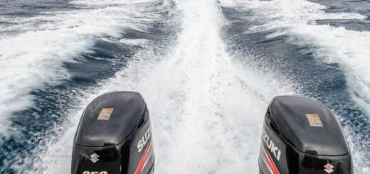 Mit 500 PS zur Isla Isabela