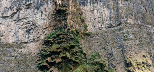 Der Cañón del Sumidero (span. sumidero „Gully“, „Abflussgraben“)