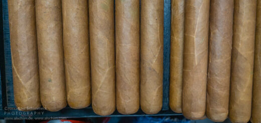 Fabrica de Puro Plasencia Cigars, Estelí - Nicaragua