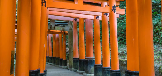 Weg zum Fushimi-Inari Taisha-Schrein, Fushimi, Kyoto - Japan