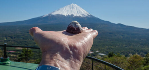 Der Fujisan, Narusawa - Japan