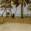 Punta Bonita Beach, Las Terrenas - Samana 2002