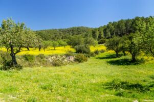 Auf dem Weg nach Calvià