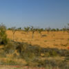 Shekhavati-Region