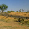 Shekhavati-Region