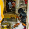 Rattenfütterung im Karni Mata Tempel
