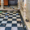Rattenfütterung im Karni Mata Tempel