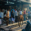 Am Abend in Bikaner