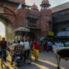 Am Abend in Bikaner