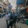 Am Abend in Bikaner