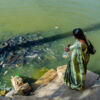 Gadi Sagar