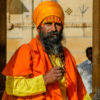 Gadi Sagar
