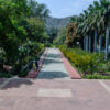 IND_N - Chaumukha