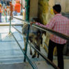 Brahmaji Mandir Tempel Brahmaji Mandir Tempel