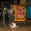 Sri Meenakshi Sundareswarar Tempel