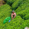 Munnar - Periyar/Kumili