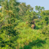 Periyar-See