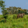 Periyar-See