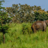 Periyar-See