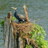 Periyar-See