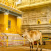 Chamundi Hügel Chamundi Hügel