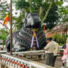 Nandi, Shivas heiliger Stier