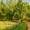 Relaxen im Hoyala Village Resort