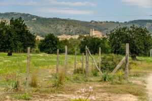 Auf dem Weg nach Calvià