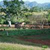 Viñales - Pinar del Río