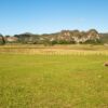 Viñales - Pinar del Río