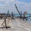 Cayo Levisa Cayo Levisa