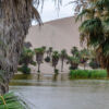 Oase La Huacachina Oase La Huacachina