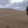 Oase La Huacachina Oase La Huacachina