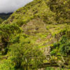 Der Weg zum Machu Picchu