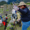 Wayna Picchu „Junger Gipfel” Wayna Picchu „Junger Gipfel”