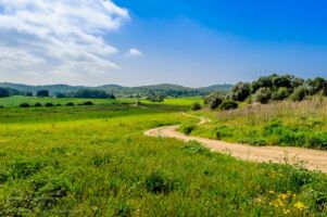 Auf dem Weg nach Calvià