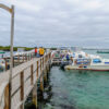 Mit 500 PS zur Isla Isabela