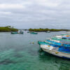 Mit 500 PS zur Isla Isabela