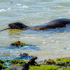 Nationalpark Galapagos