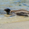 Nationalpark Galapagos