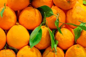 Mercat de L'Olivar am der Plaça de l'Olivar Plaça de l'Olivar