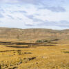 Fahrt nach El Calafate