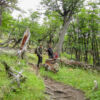 Wanderung zum Fitz Roy