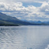 Leben im Wasser und in der Luft