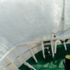Navimag