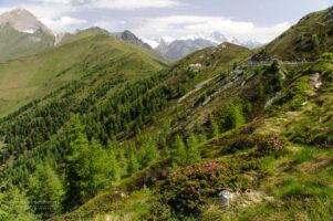 Wanderung zum Kals-Matreier Törlhaus Wanderung zum Kals-Matreier Törlhaus